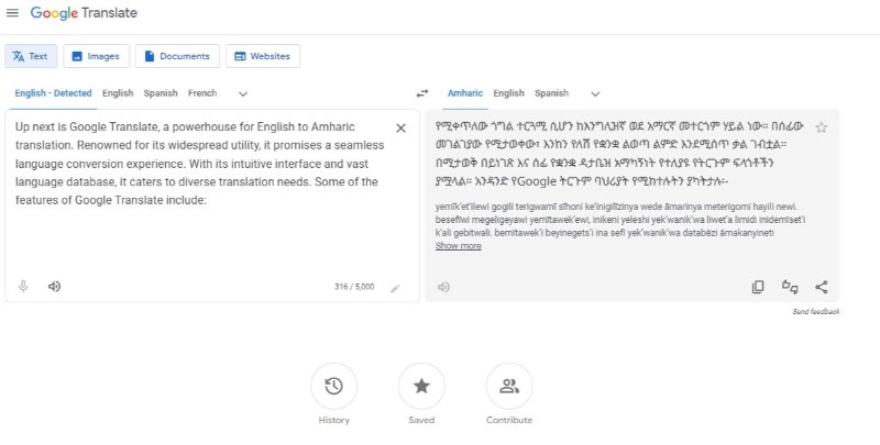 english to amharic using google translate