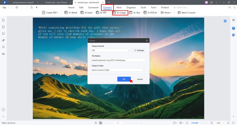 convert pdf to image file format