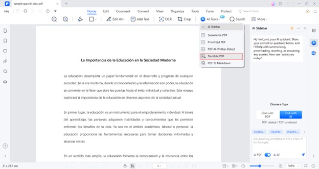 access translate pdf function