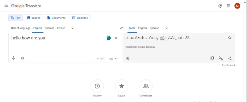 google pdf translate english to tamil