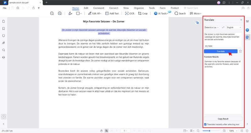 translate pdf dutch to english