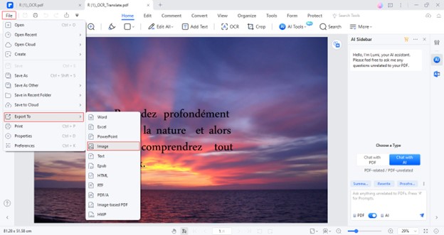 convert translation pdf to image