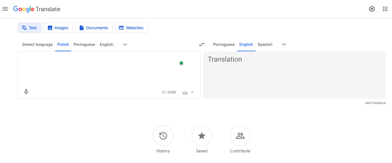 google translate polish to english