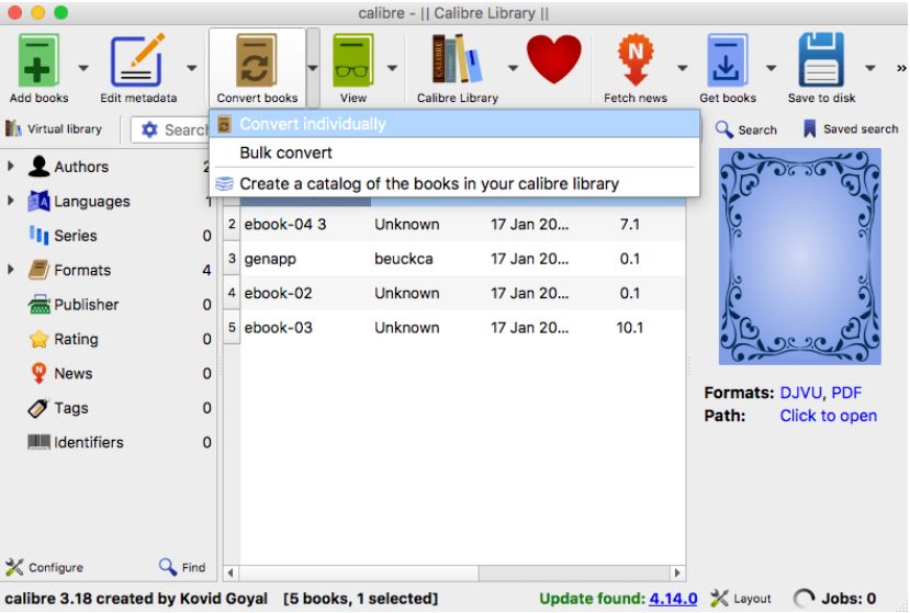 convert options on calibre