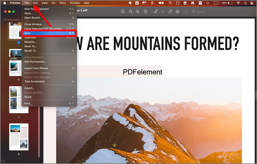 save pdf file