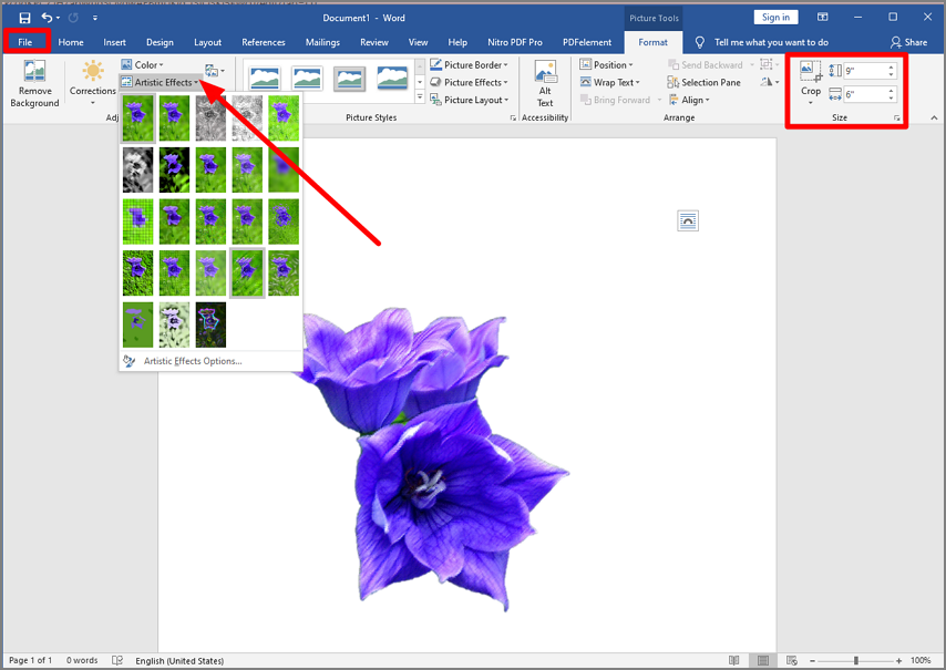 apply image effects
