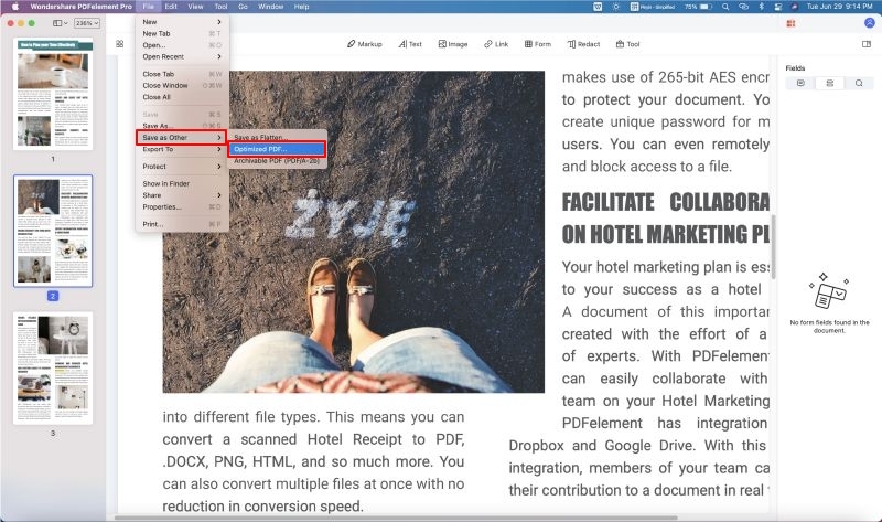 best pdf for email from mac to windows