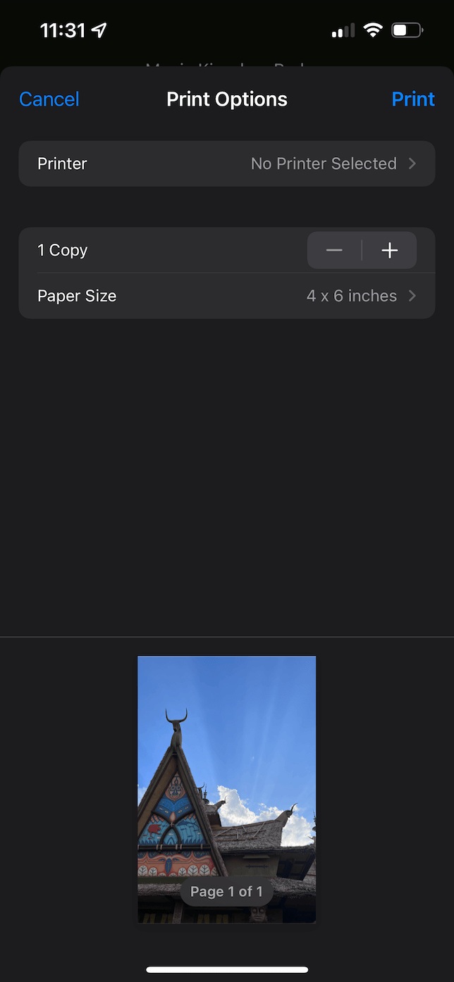 ios default print