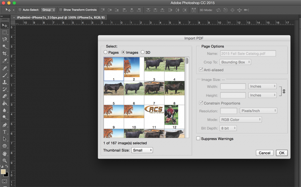Easy Guide: Edit PDF Image in Photoshop