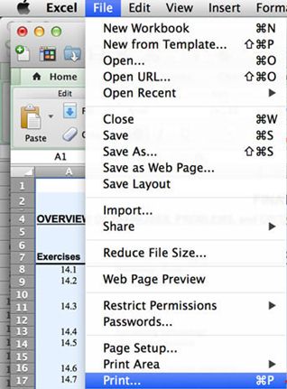 convert word form to excel for mac